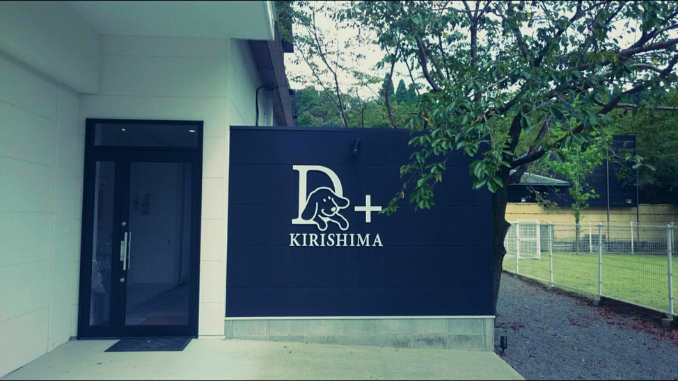 D+Kirishima