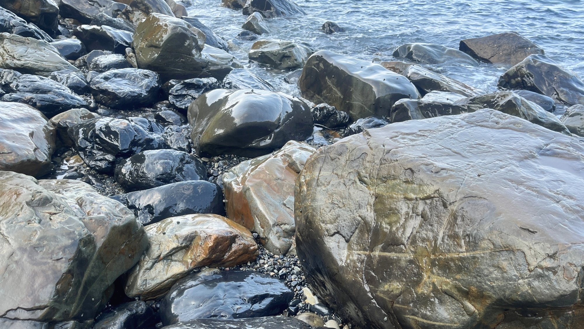 大月生態露營地