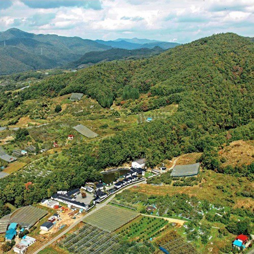 東北最大級の管理釣堀　釣り宿　長者屋敷