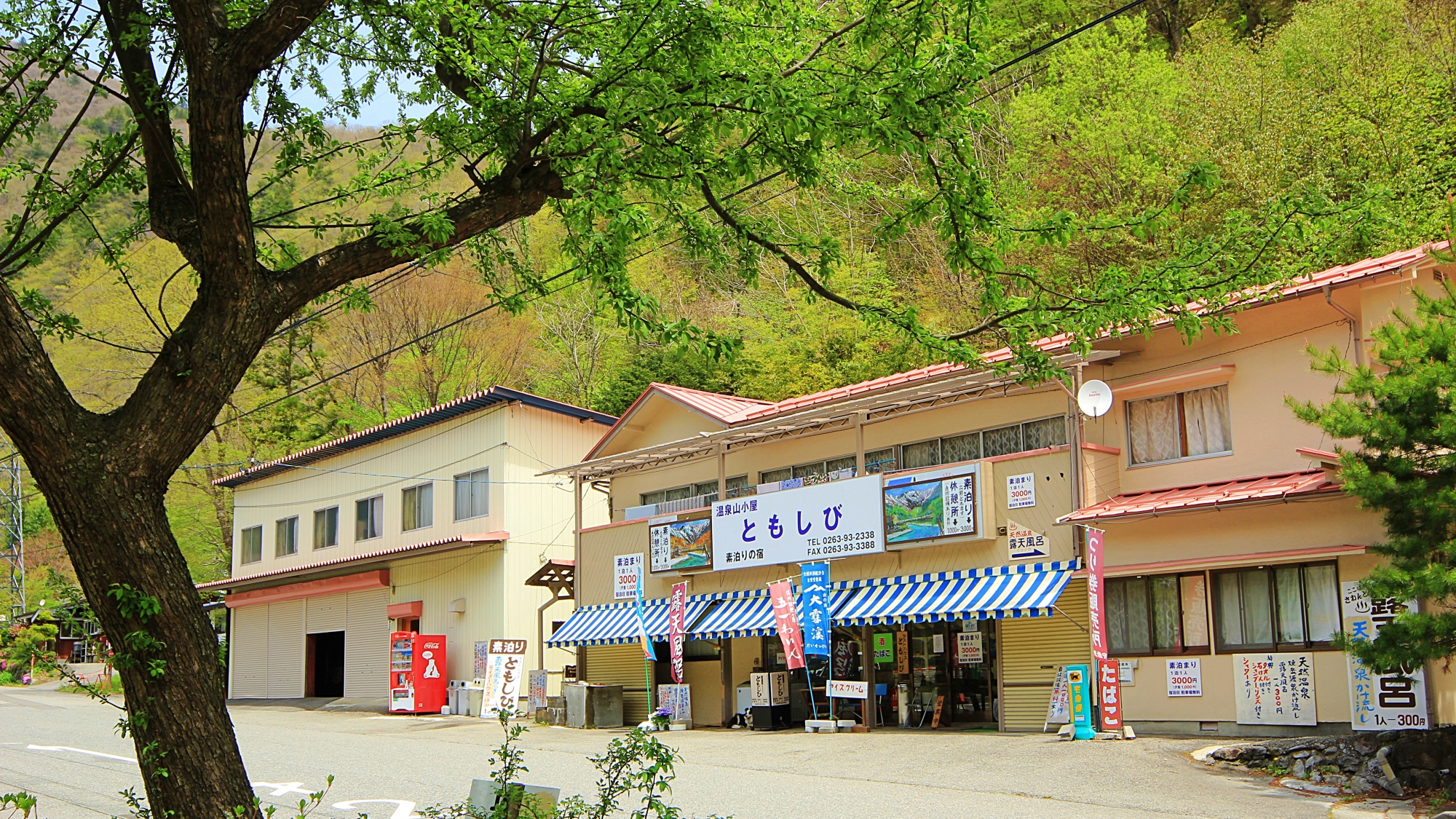 Guesthouse Tomoshibi