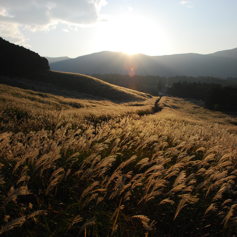 Hotel Harvest Hakone Koshien