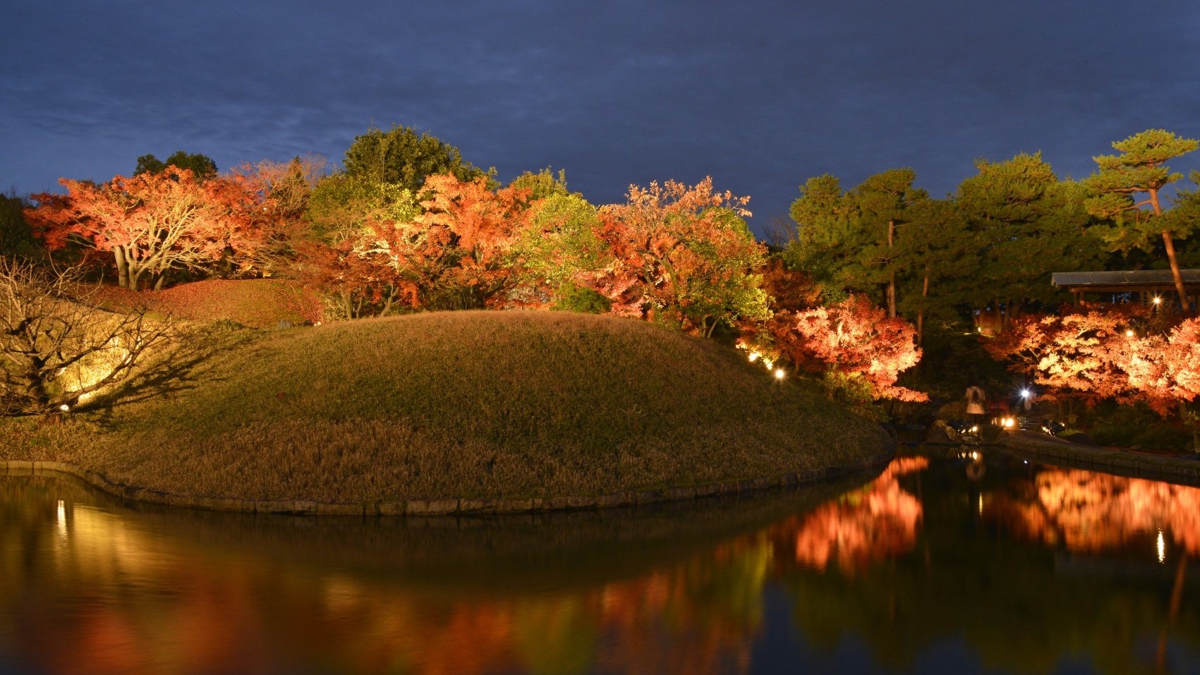 Sakura Terrace The Gallery