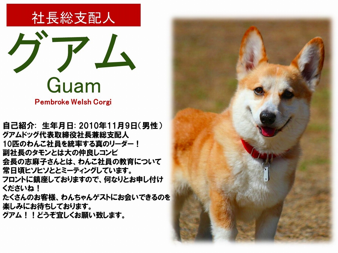 Hakone Gora Guam Dog Honten