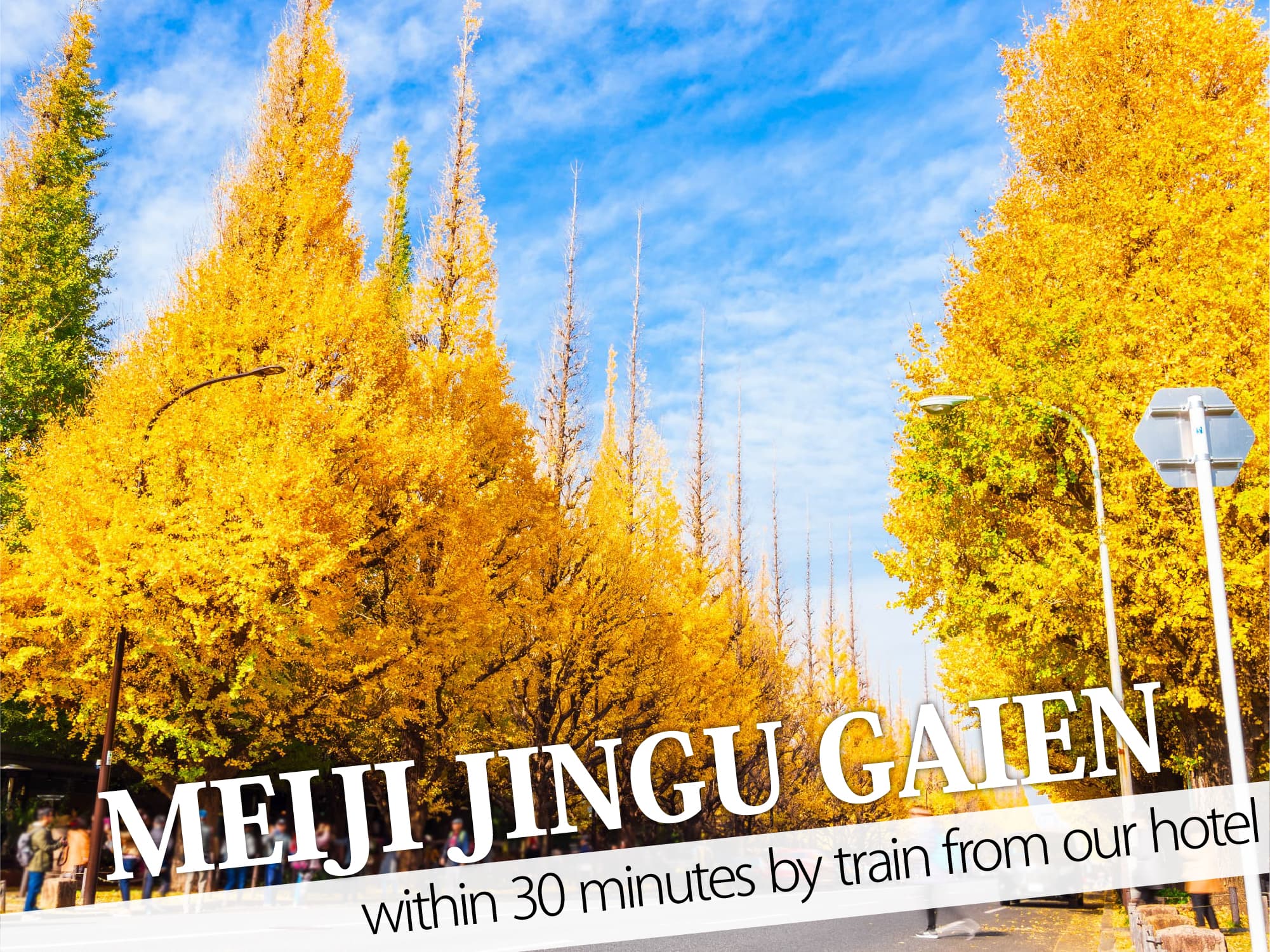 Hotel Rocks Shinjuku