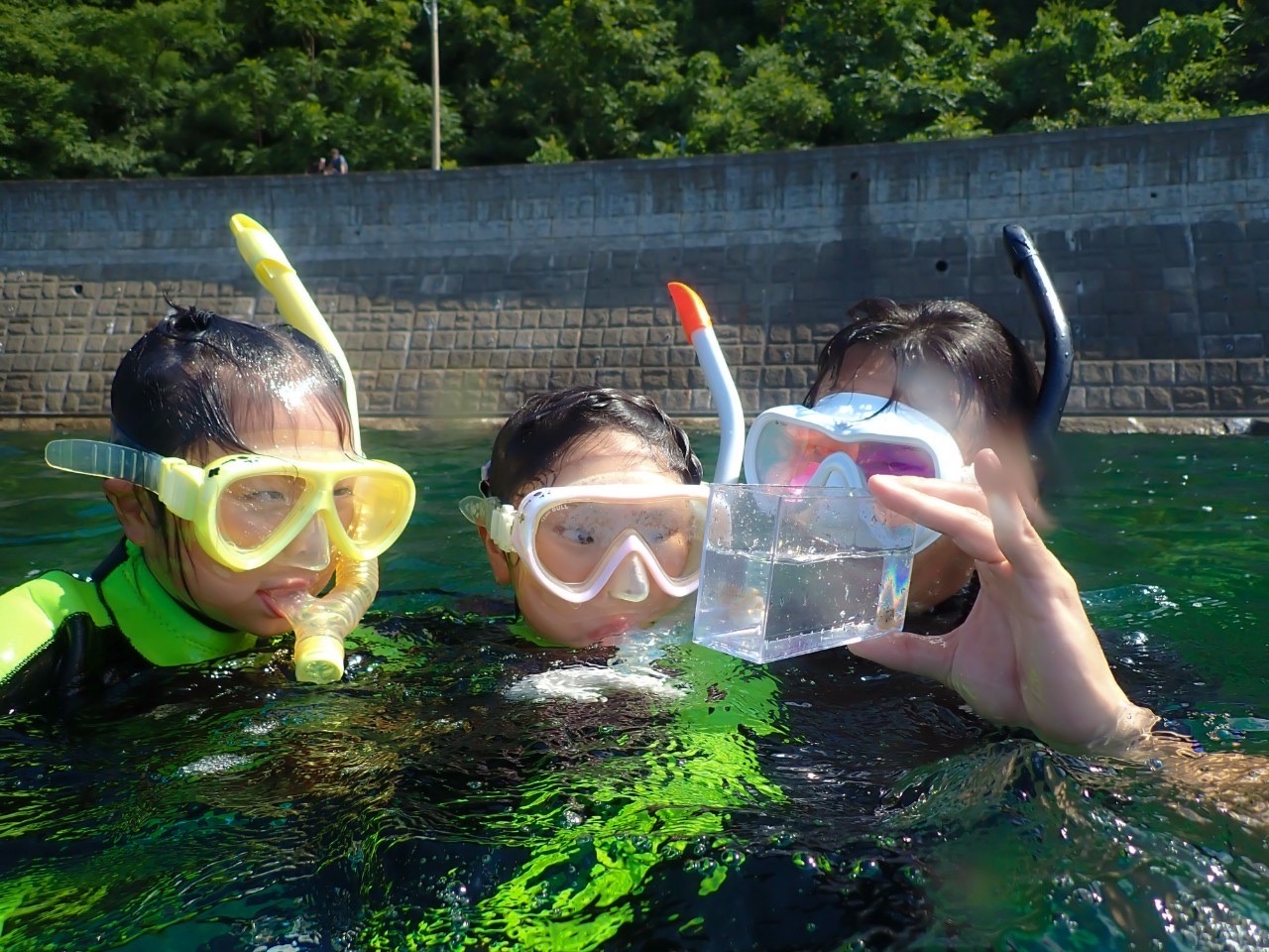 Echizen Marutaya Hot Spring Inn