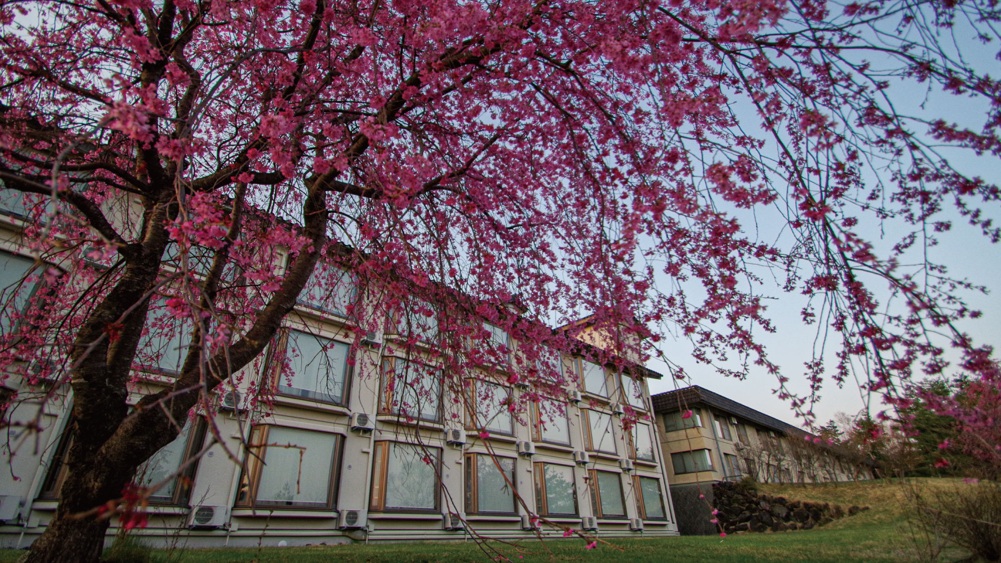 Motoshirane Onsen Tsumagoi Prince Hotel