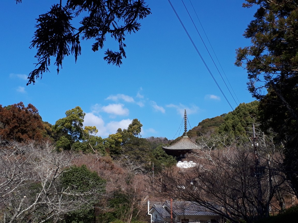 ホテルルートイン紀の川