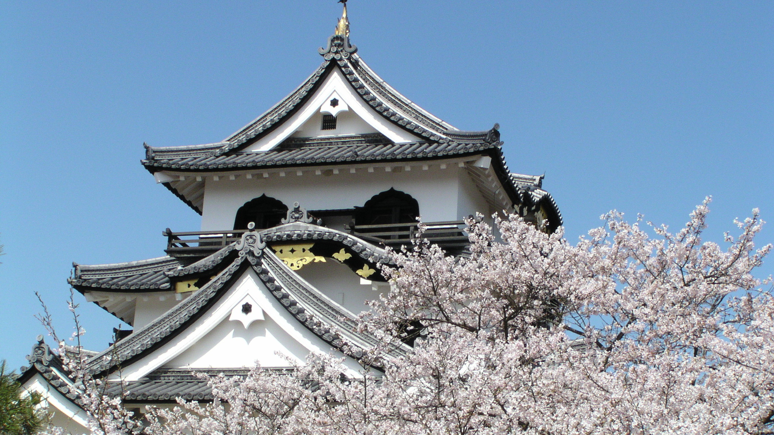 APA Hotel Hikone Minami