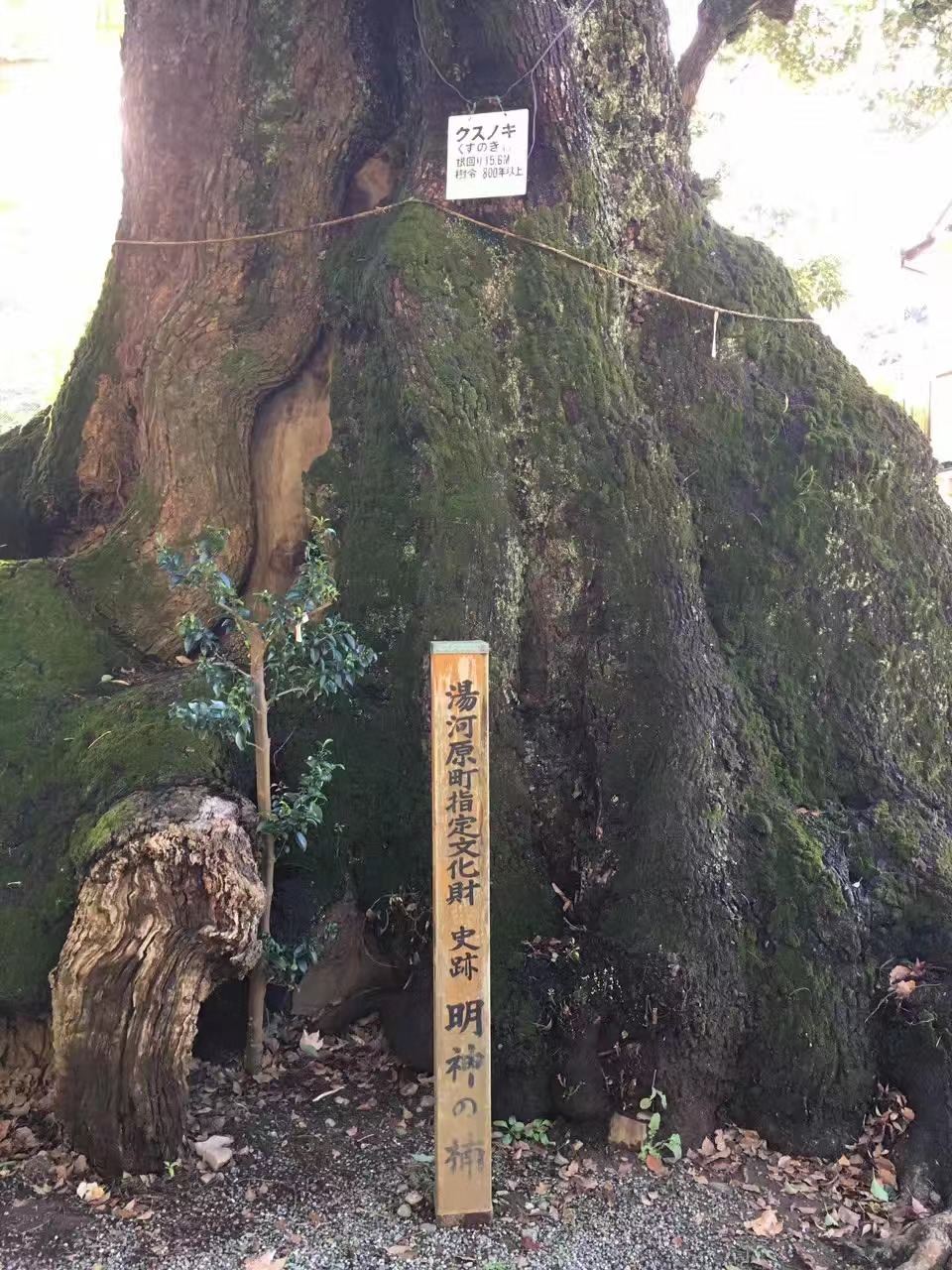 天然温泉旅館　雅竹