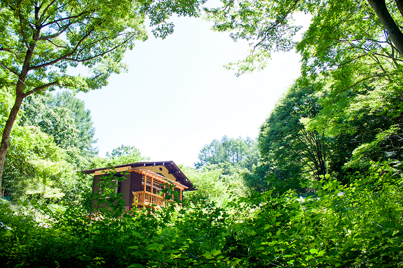 胡特里德山林小屋