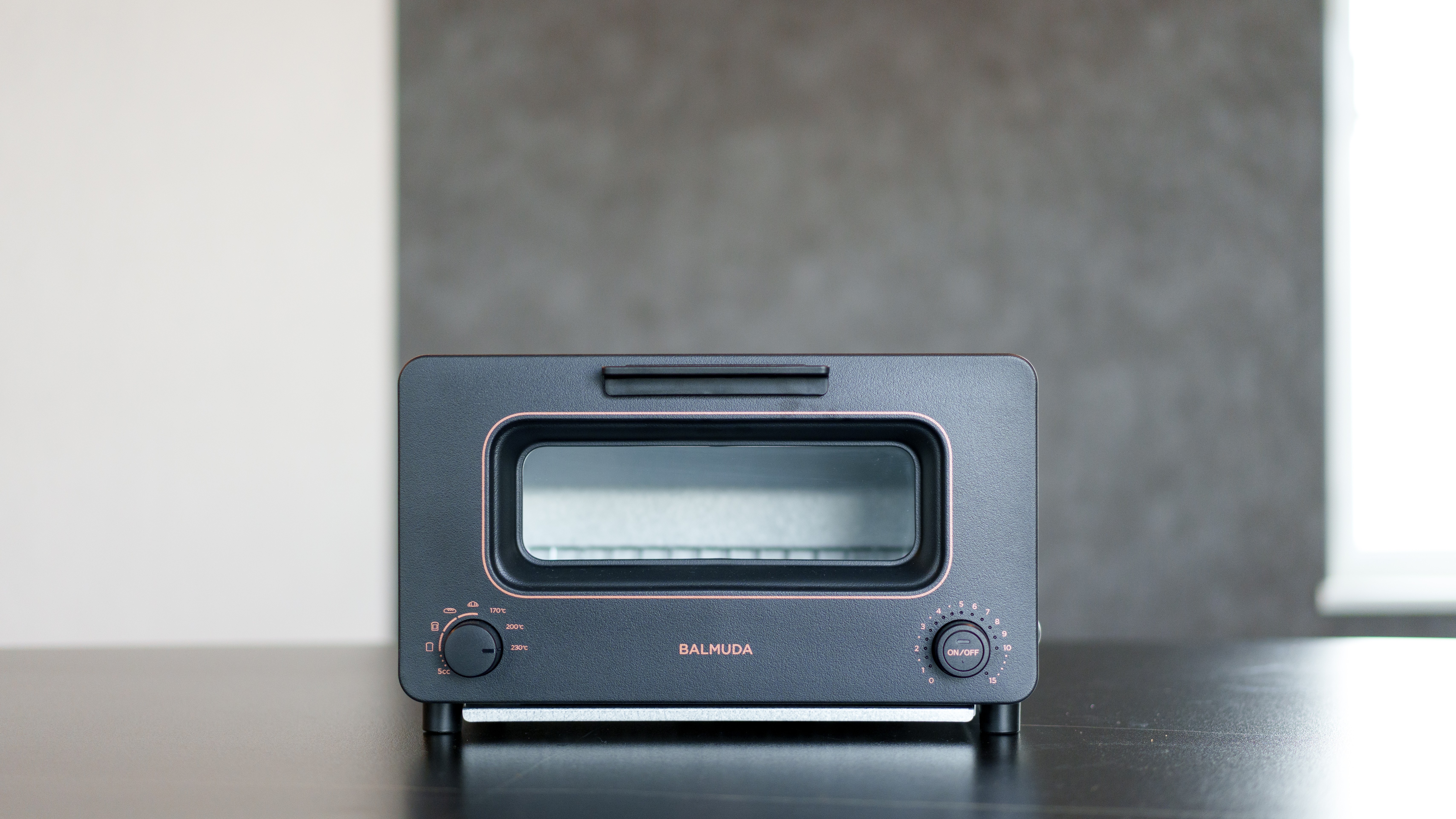 Crystal Villa Shirahama Oceans Dog Resort