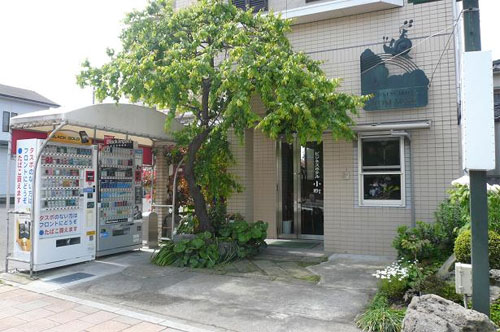 商務酒店小町