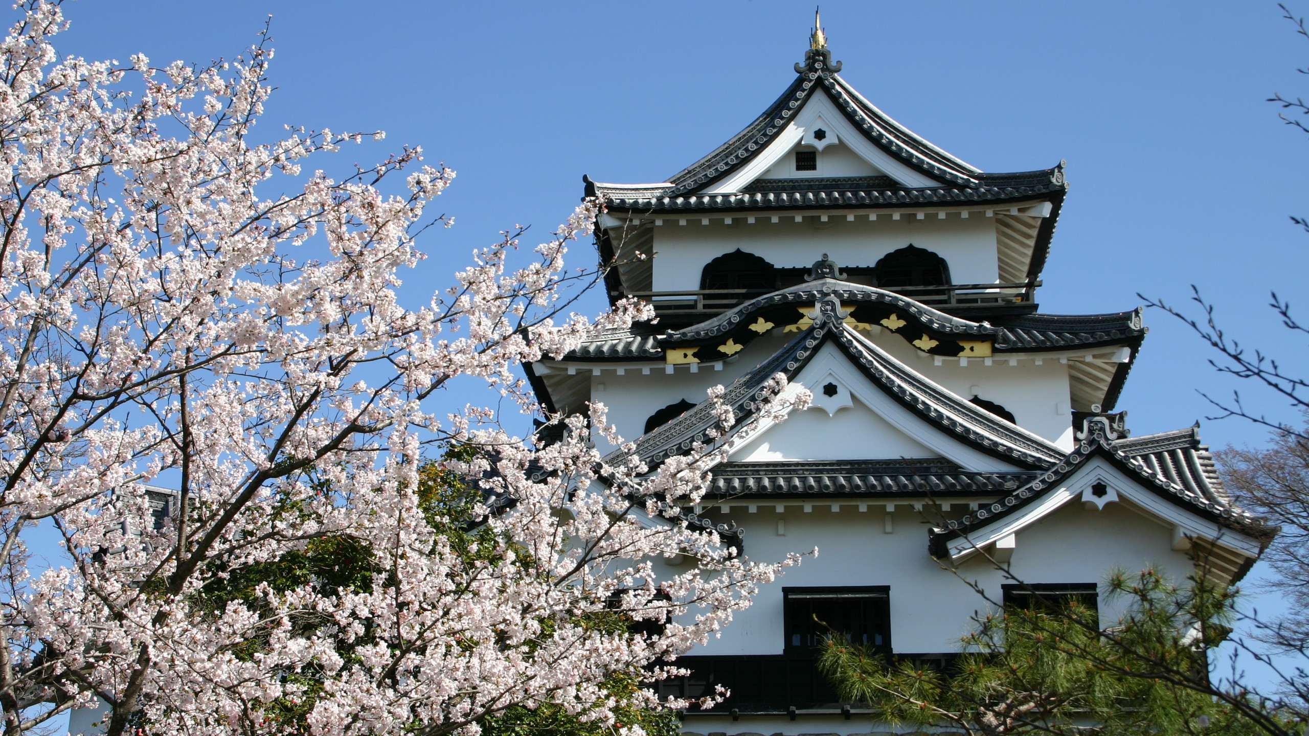 APA Hotel Hikone Minami