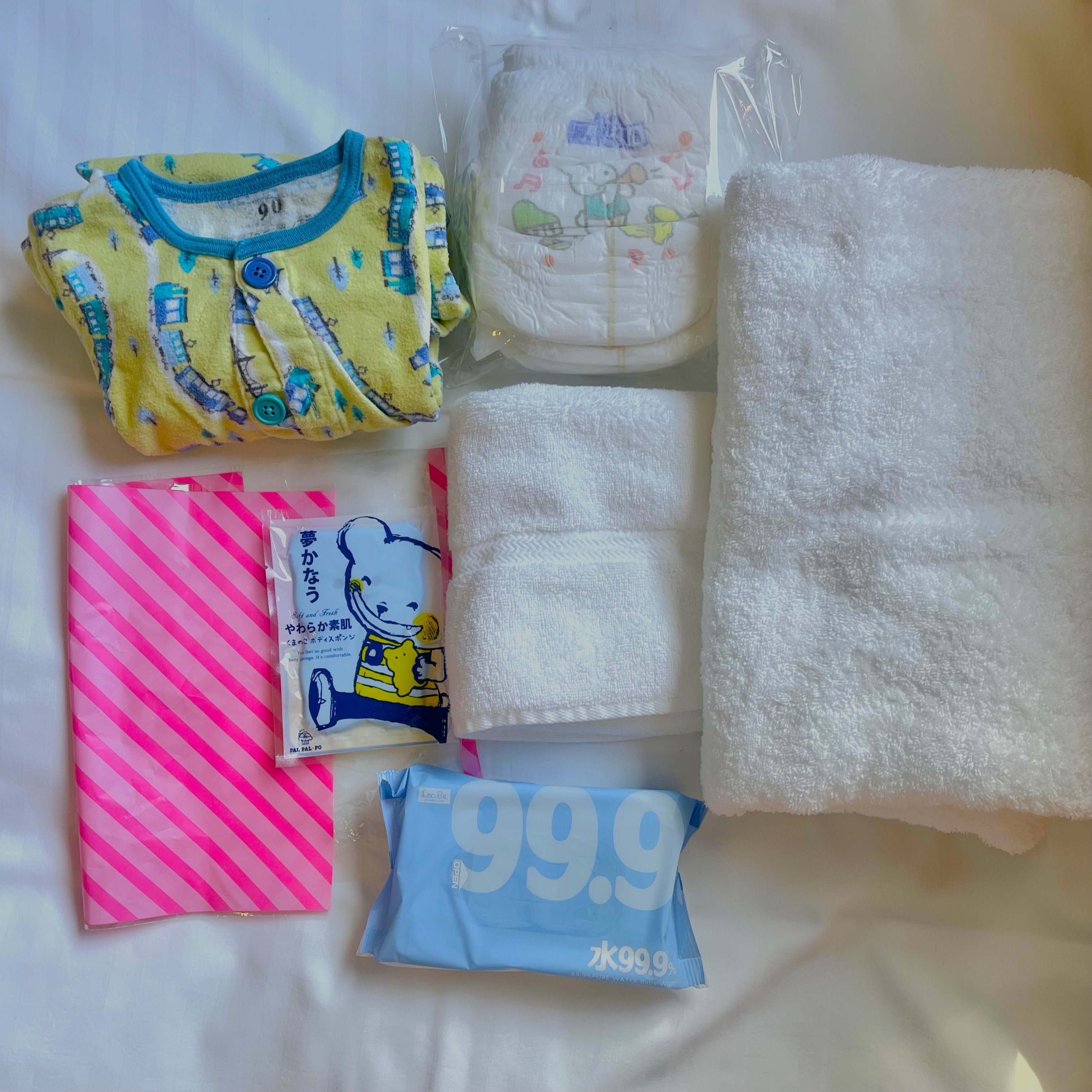 Shin-Osaka Station Hotel