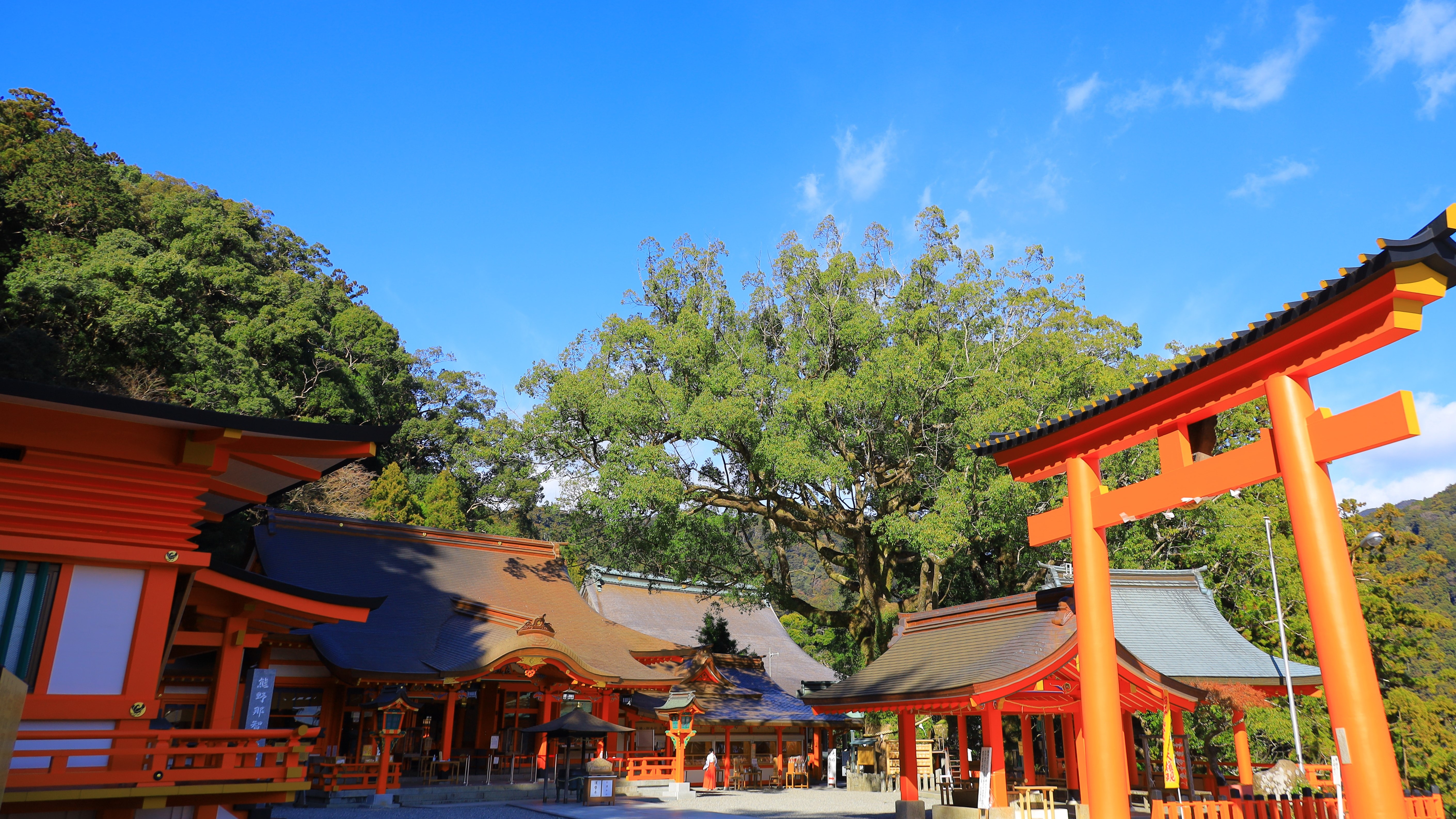 勝浦温泉　海のホテル　一の滝