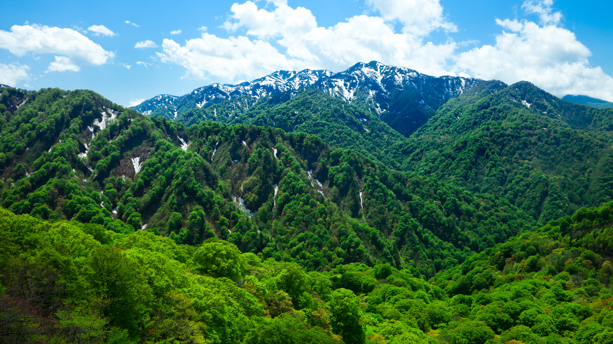 Taiaki Onsen Buna-no-sato Shirakami-kan