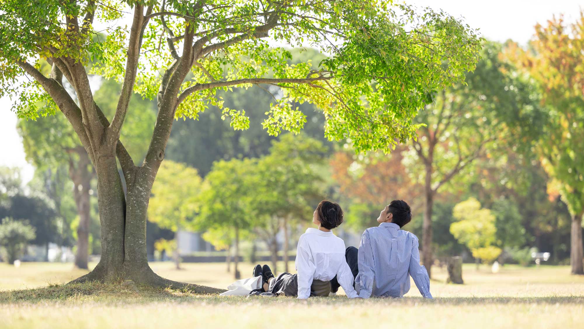 筑後船小屋　公園の宿