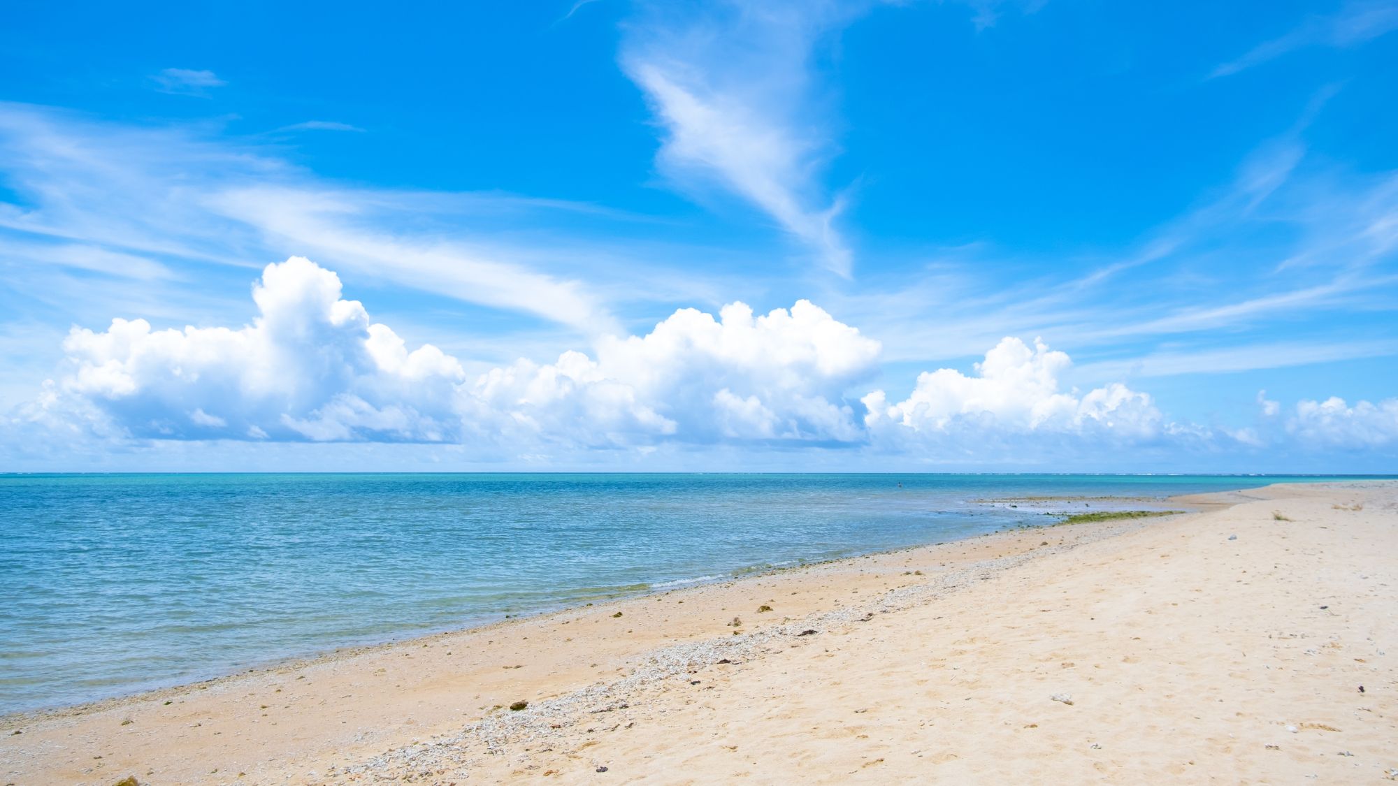 Ｇｌｏｒｙ　ｉｓｌａｎｄ　ｏｋｉｎａｗａ　Ｙａｂｕｓａｃｈｉ　Ｒｅｓｏｒｔ