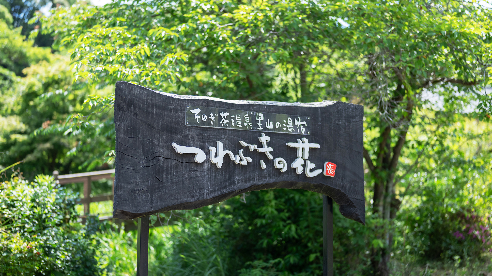 Tsuwabuki no Hana