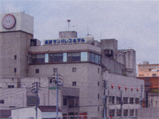 水澤太陽皇宮酒店