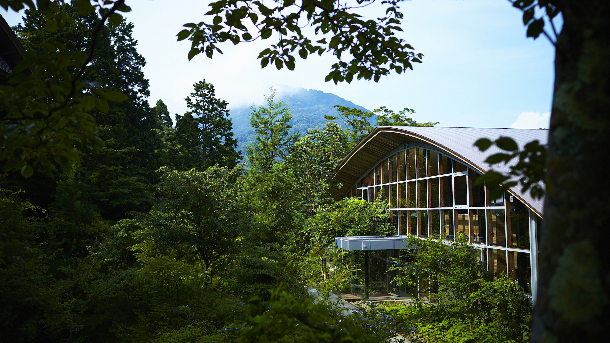 Hakone Retreat Fore