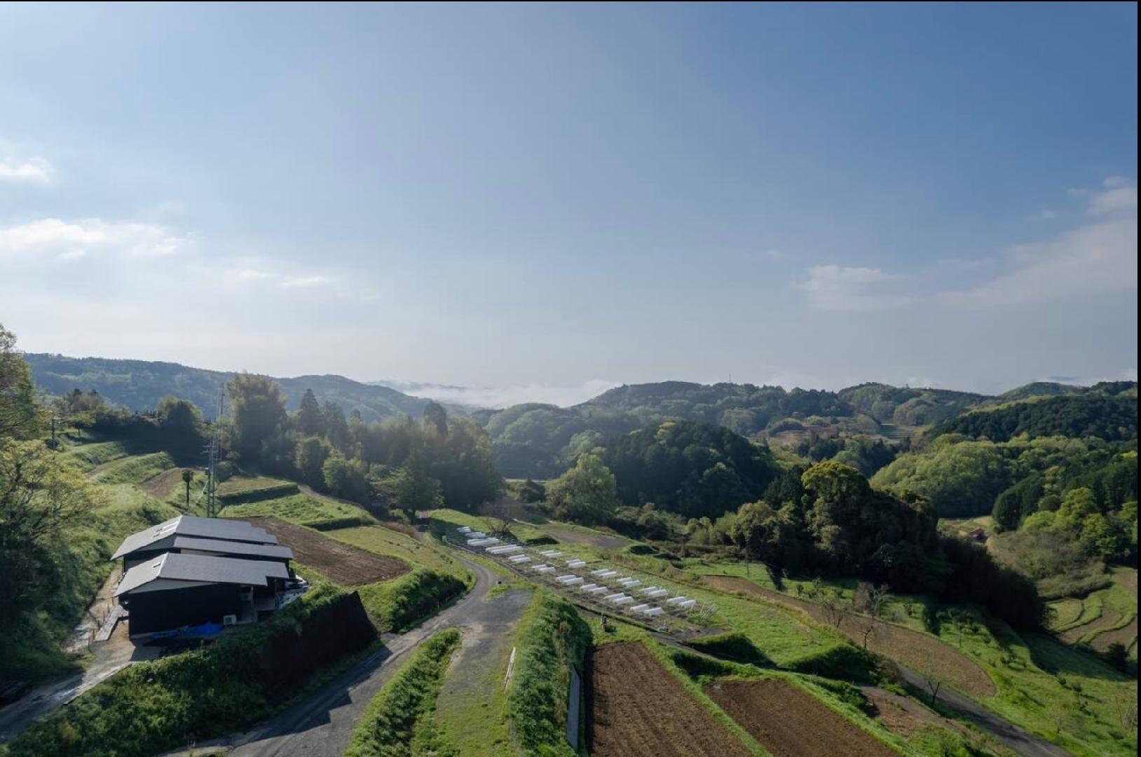 ＴＨＥ　ＴＡＮＡＤＡ　ＳＡＵＮＡ