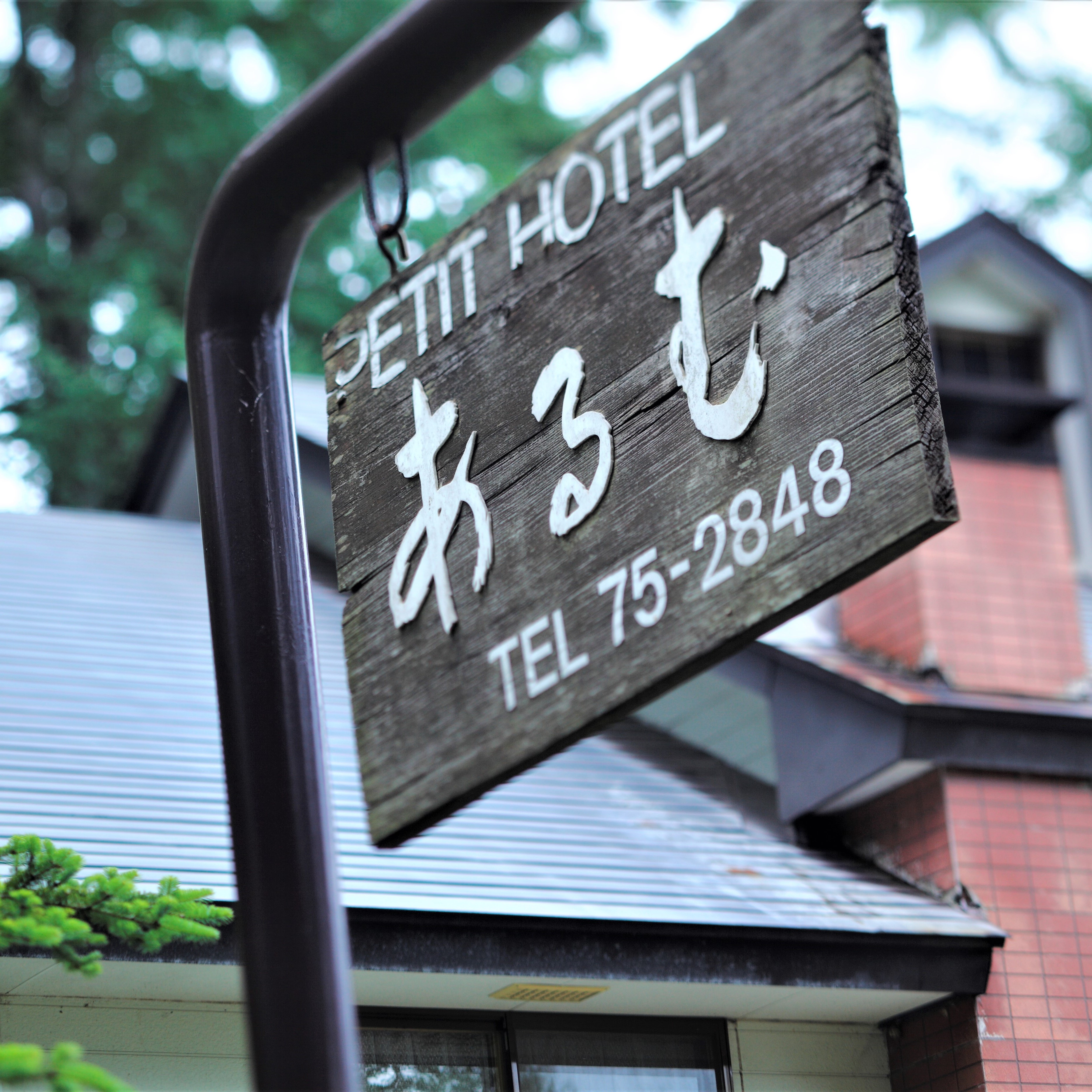 Hakuba Goryu Pension & Log Cottage Arumu