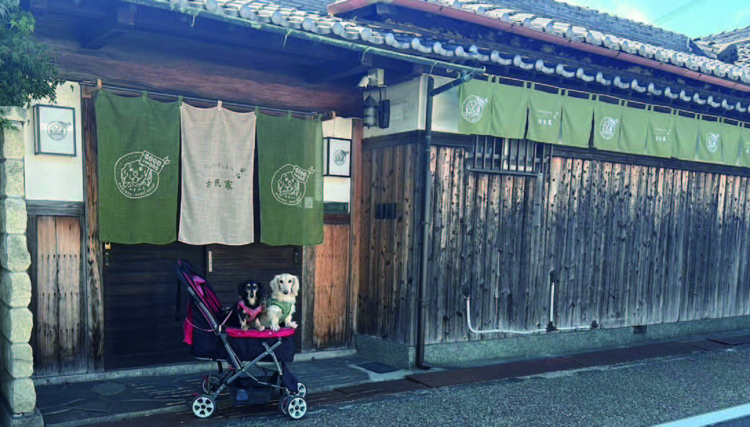 Rinku 狗狗古民家