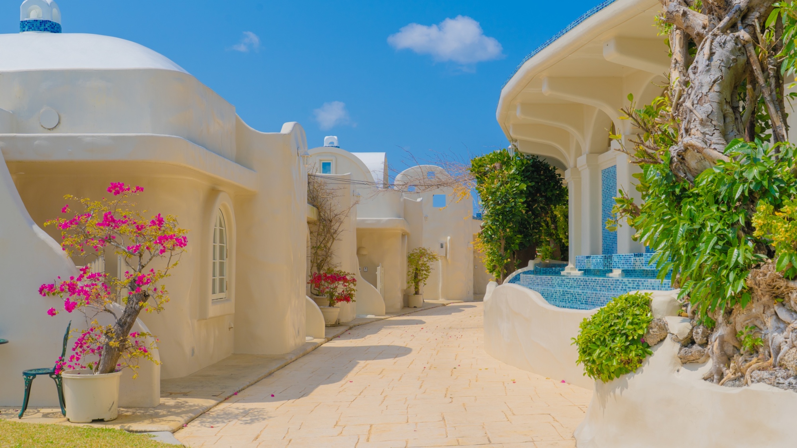 Yuki Suite Kourijima
