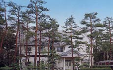 Pension Timely 貨別莊