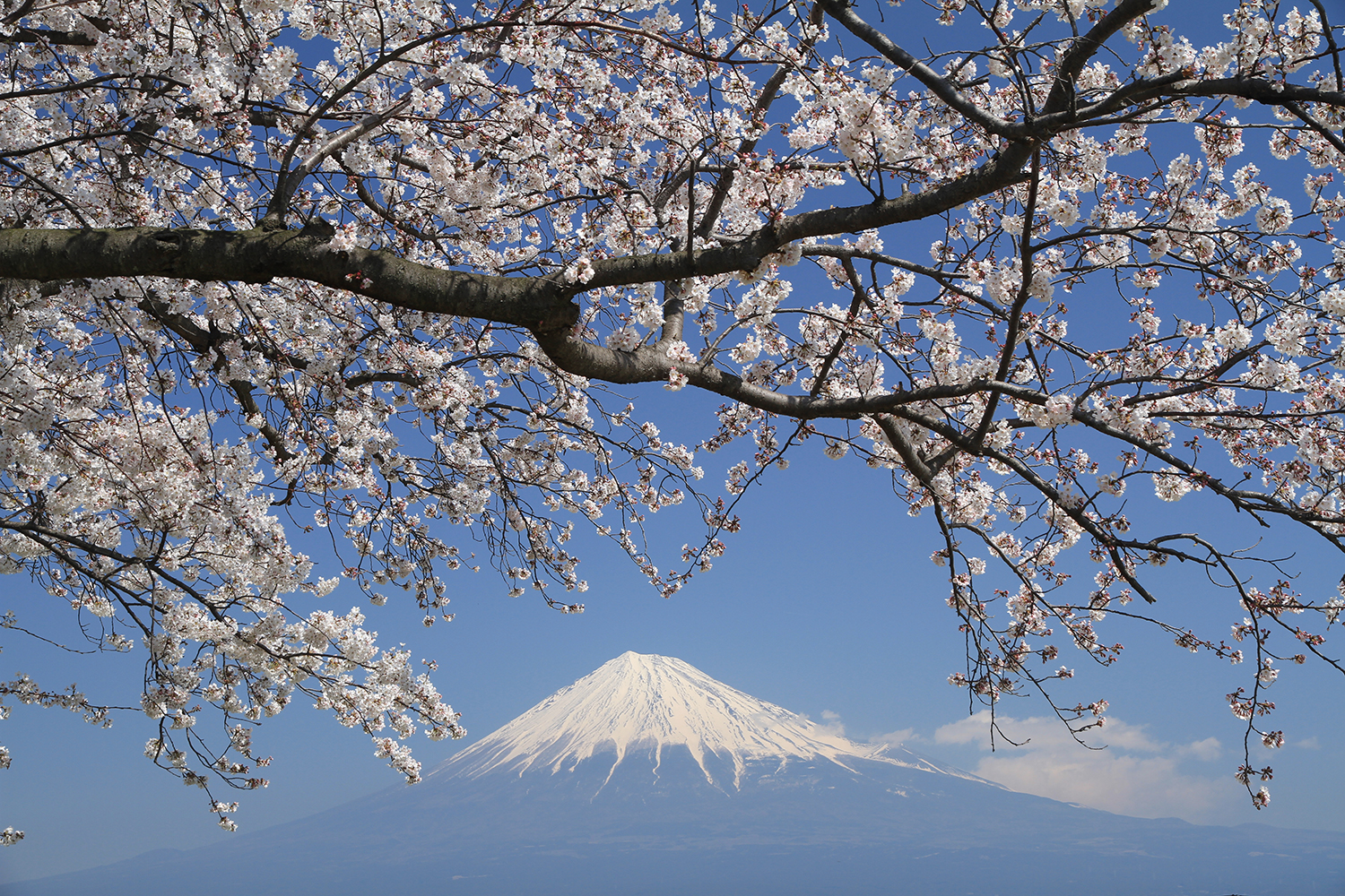 湯宿橘之木旅館