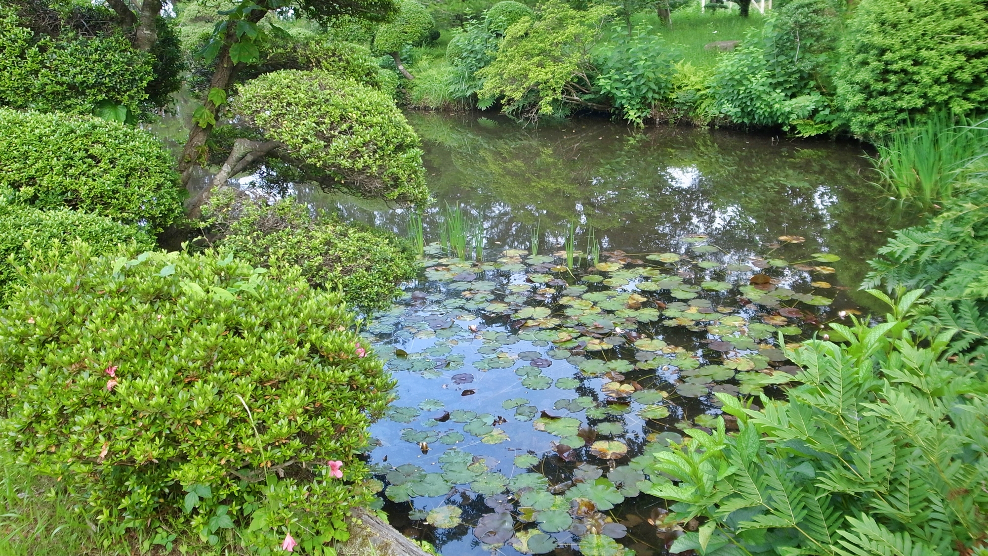 內原鑛泉湯泉莊