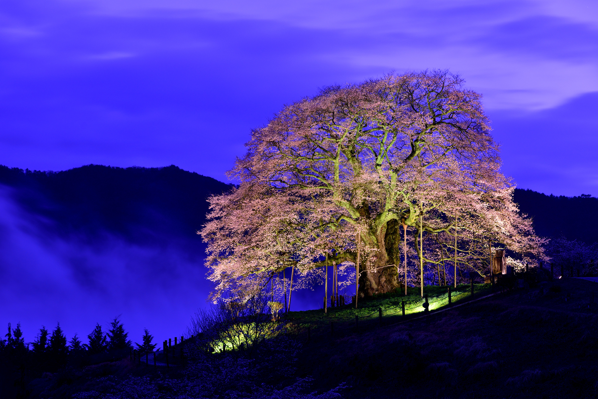 Ｔａｂｉｓｔ　すぱゆばら　岡山湯原温泉