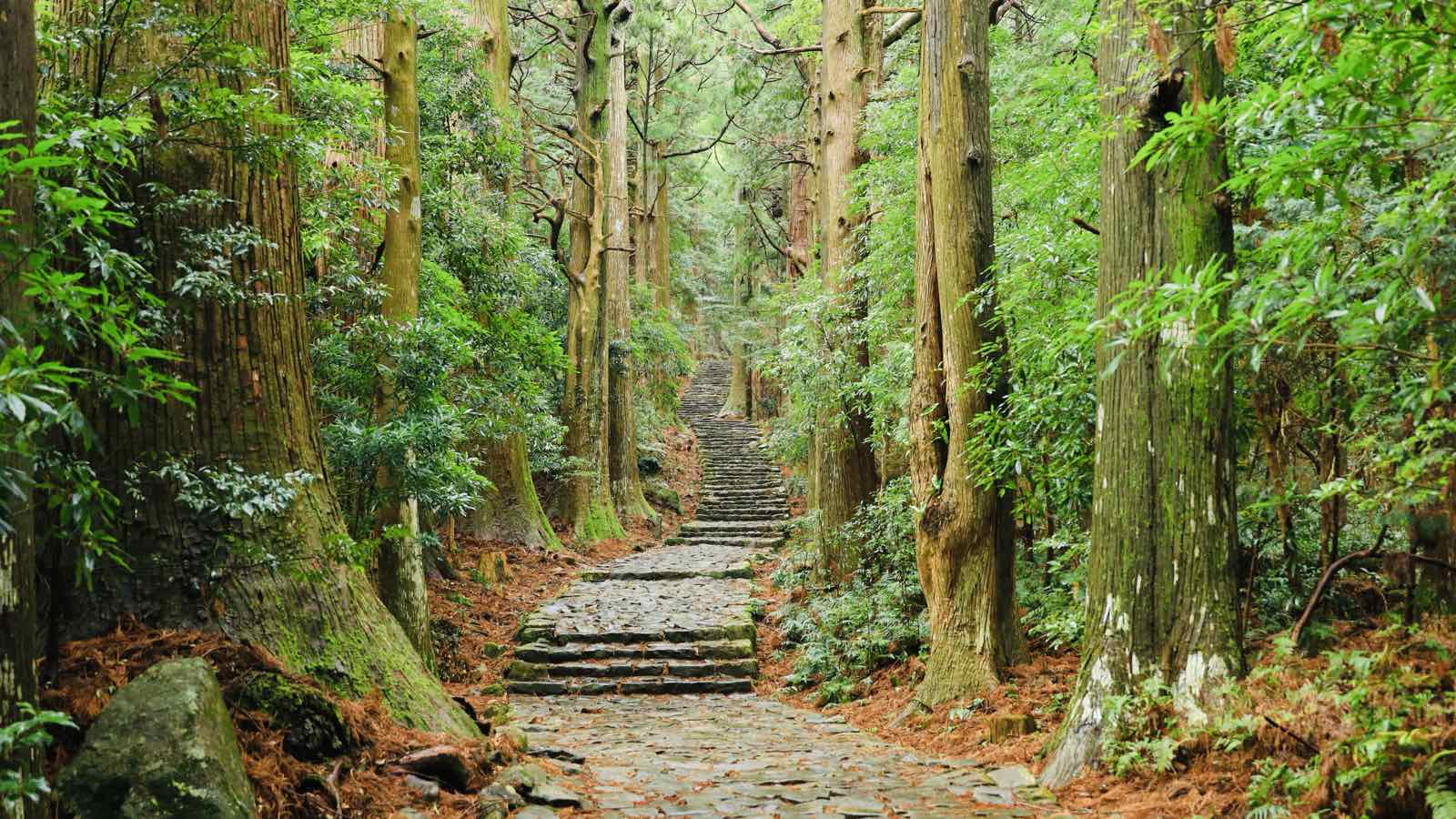 Onsen Minshuku Kosakaya Main Building