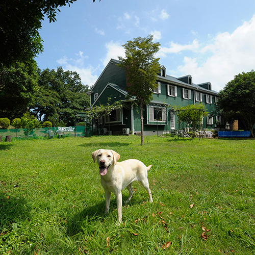 Izu Dog Pension Kotobuki Base