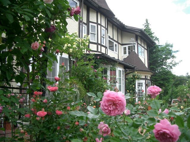 草津溫泉河汝旅館