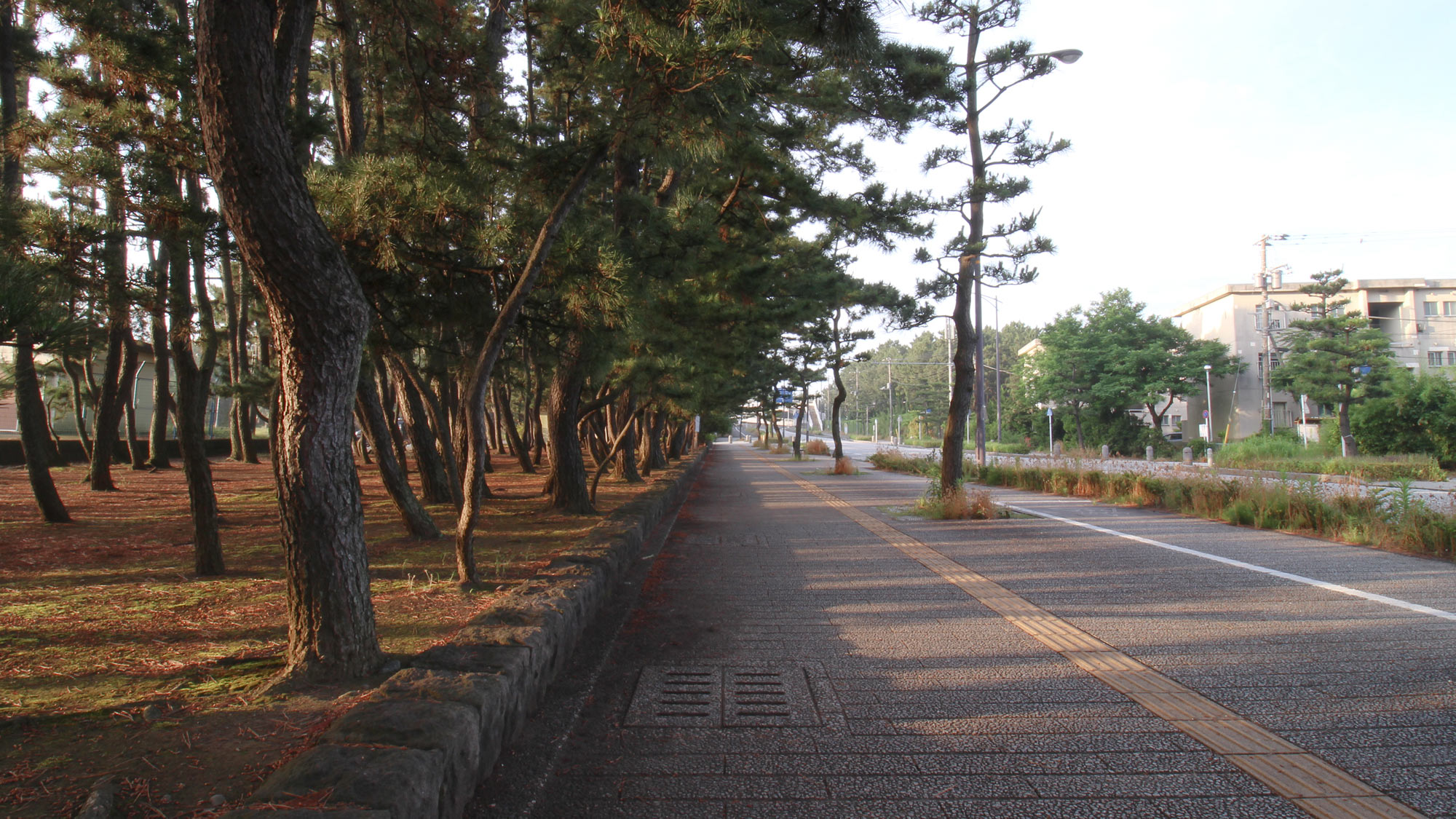 山一旅馆