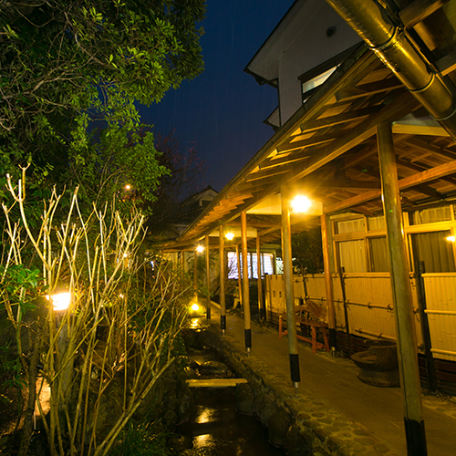 Atsugi Iiyama Onsen Motoyu Ryokan