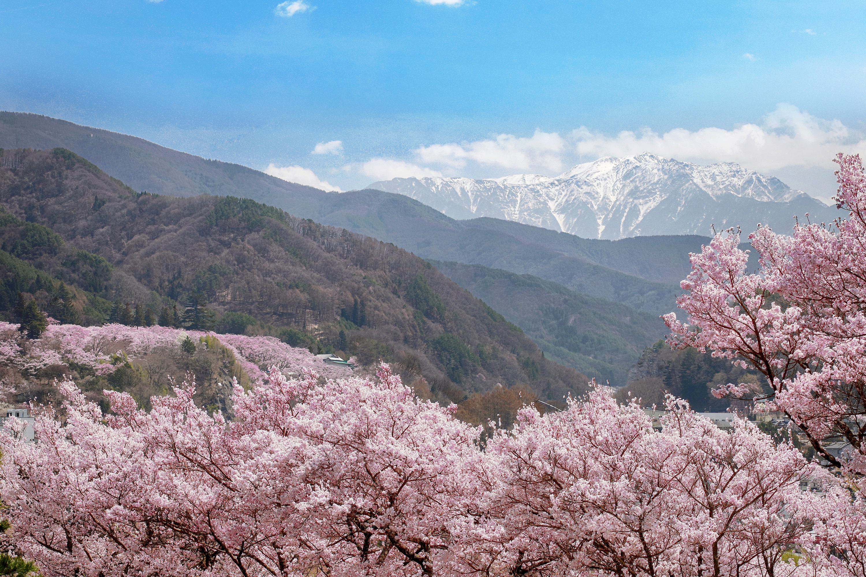 Takato Onsen Takato Sakura Hotel