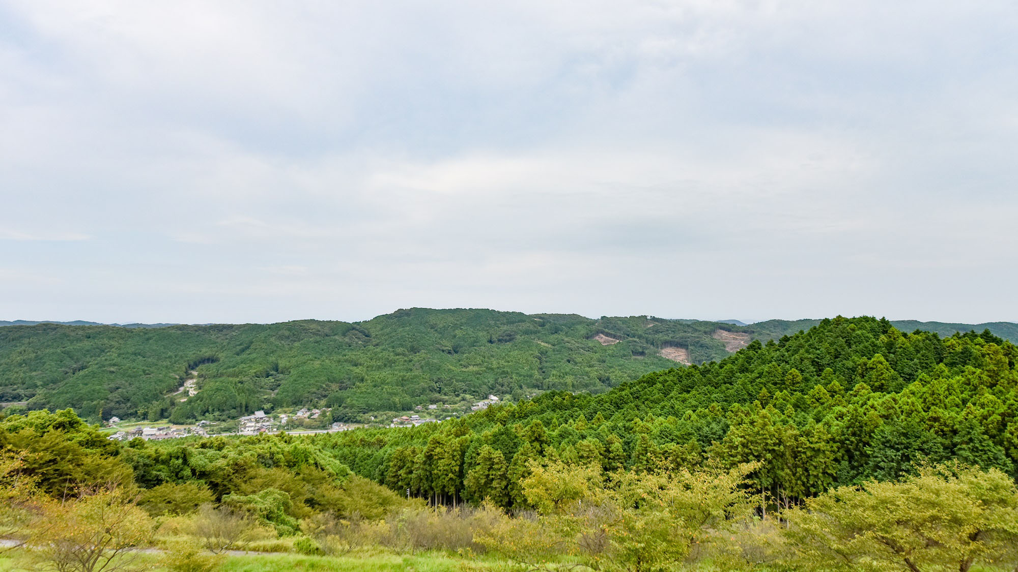 바이엔노 사토