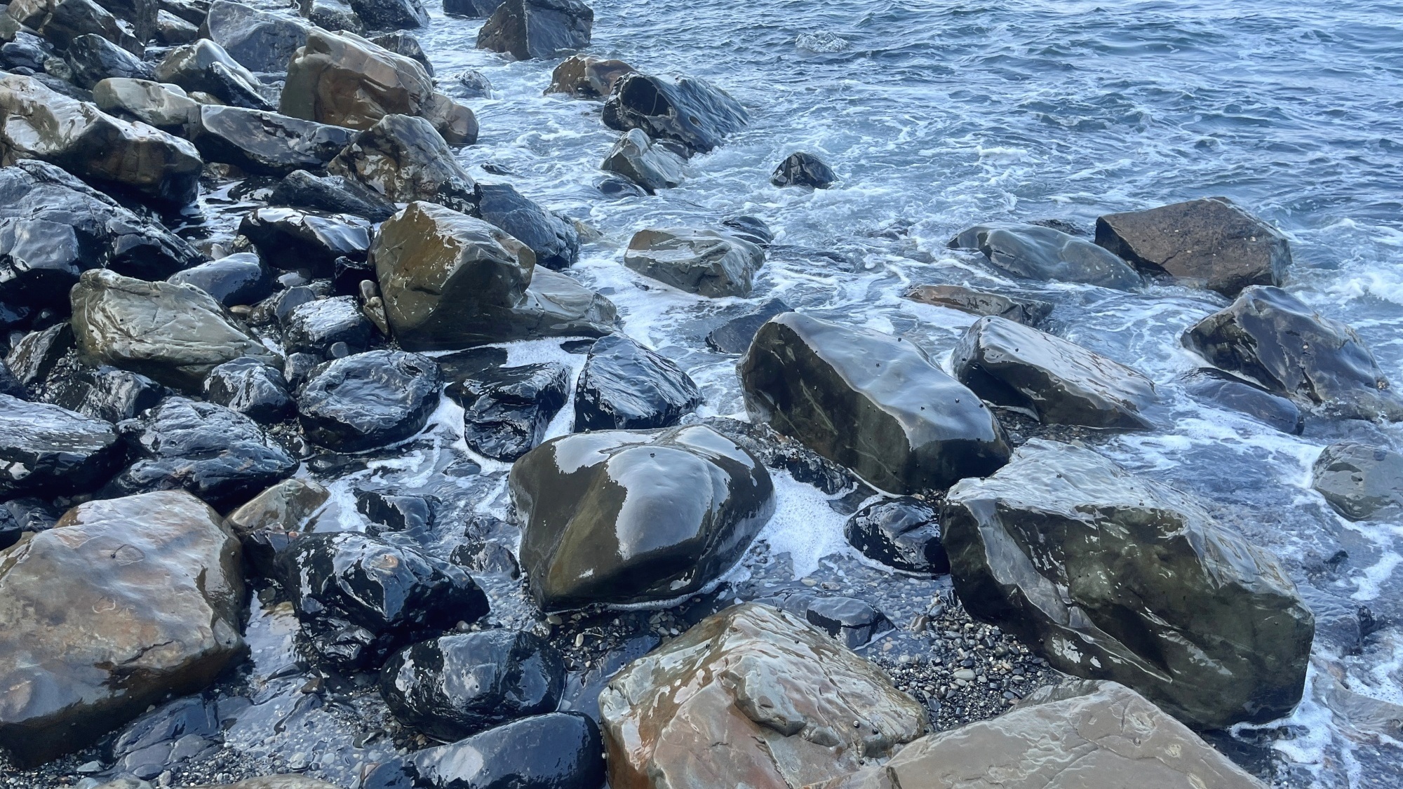 大月生態露營地