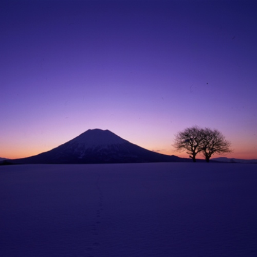 One Niseko Resort Towers