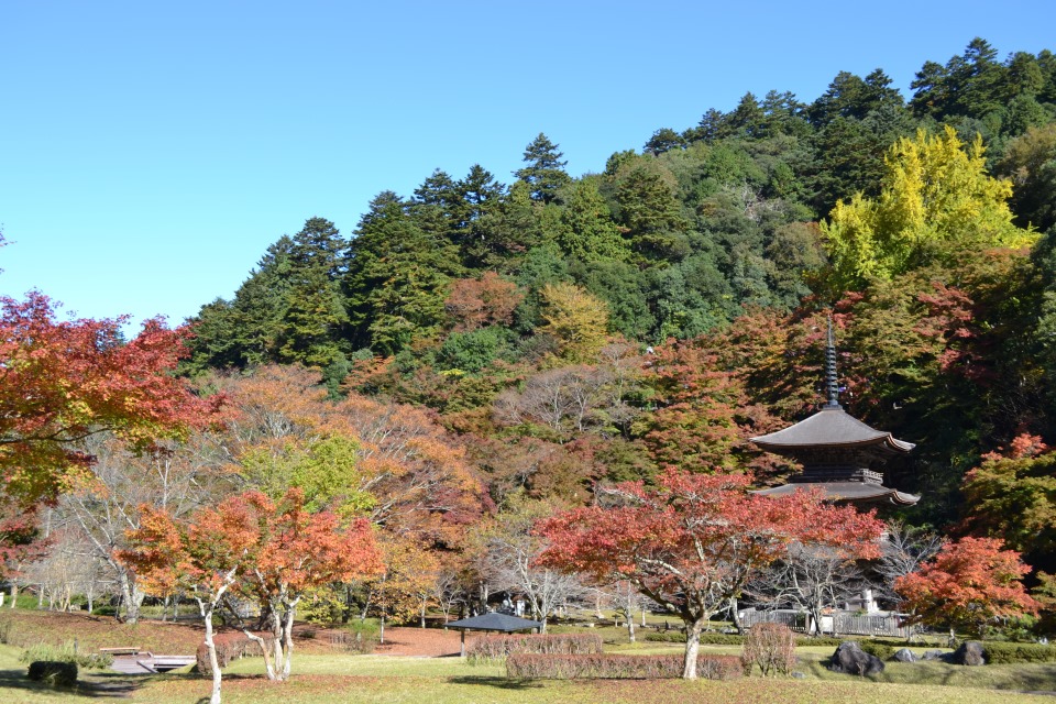 舞鹤Tsukasa酒店