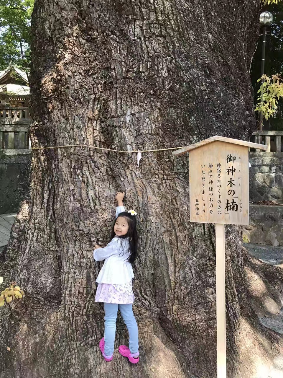 天然温泉旅館　雅竹