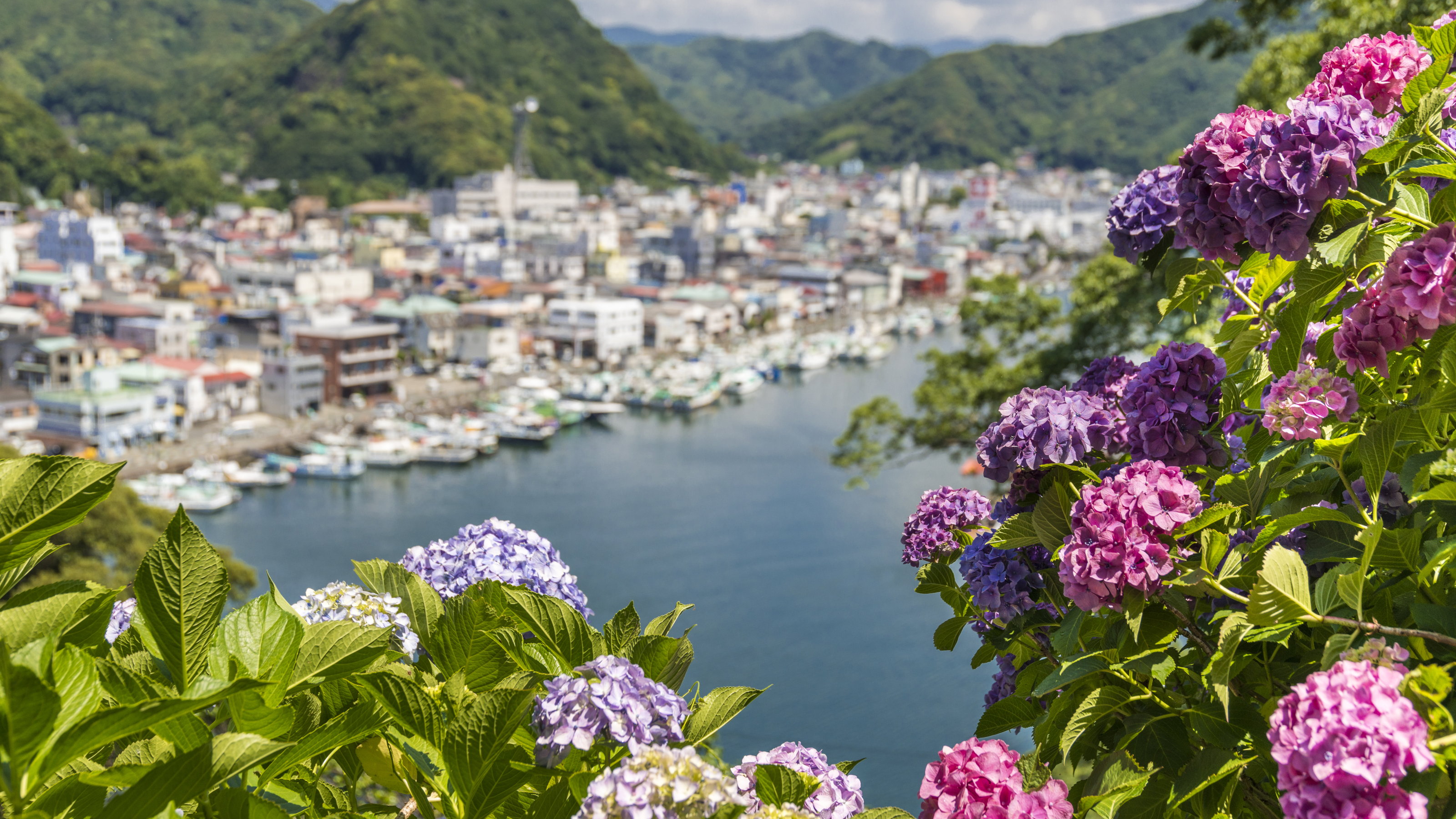 下田海滨酒店