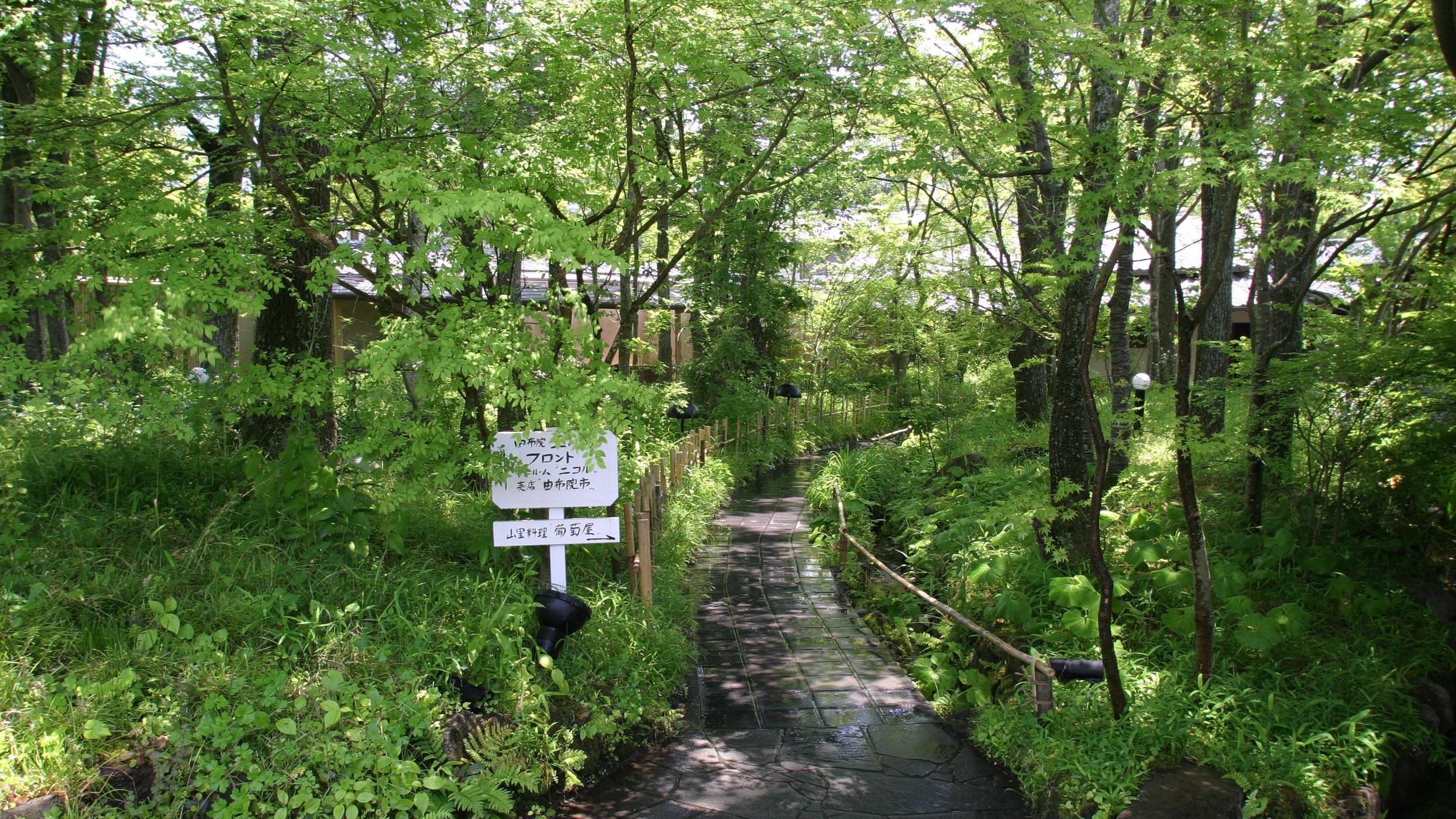 由布院　玉の湯