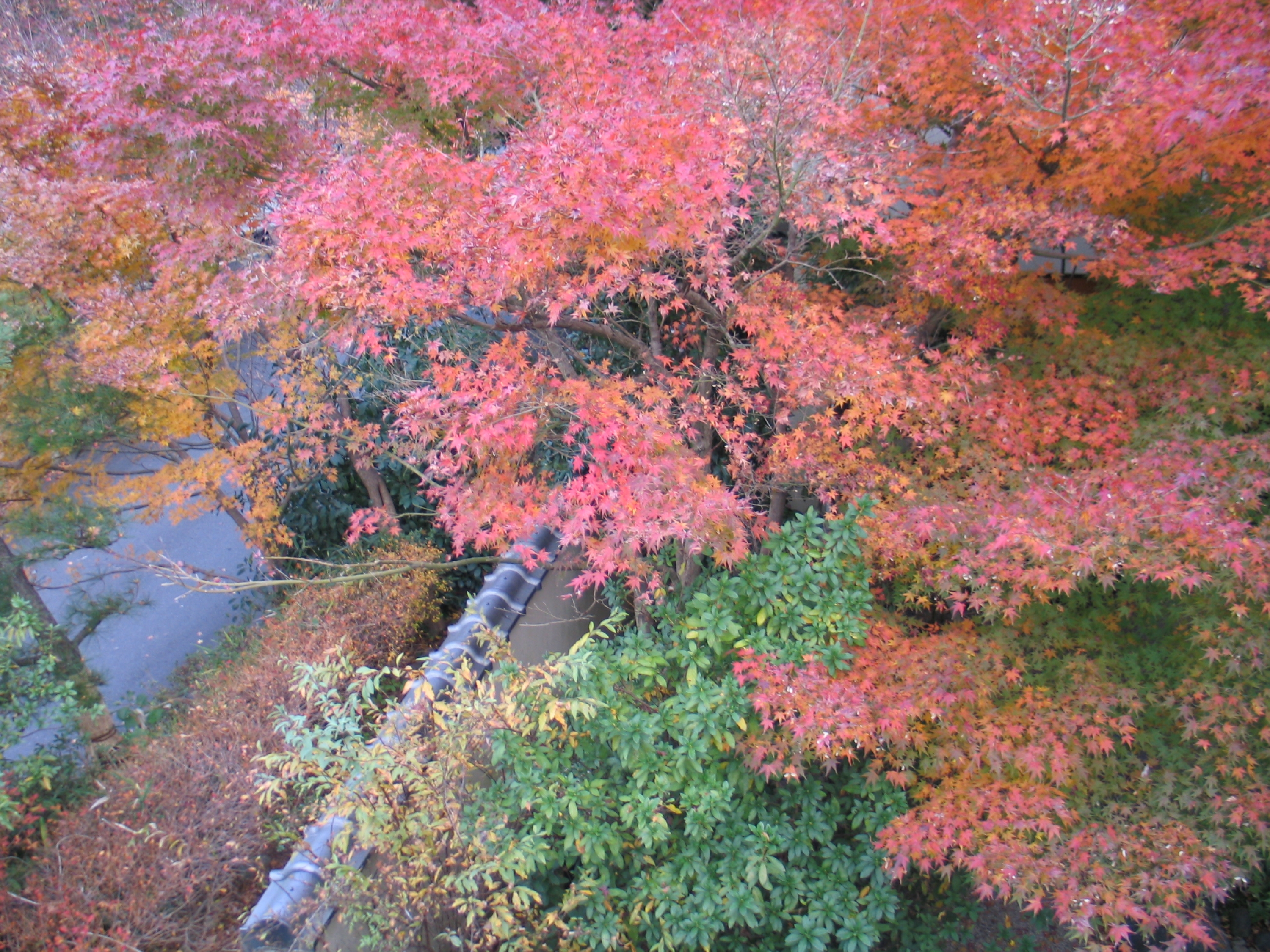 Izu Nagaoka Onsen Kameya Ean