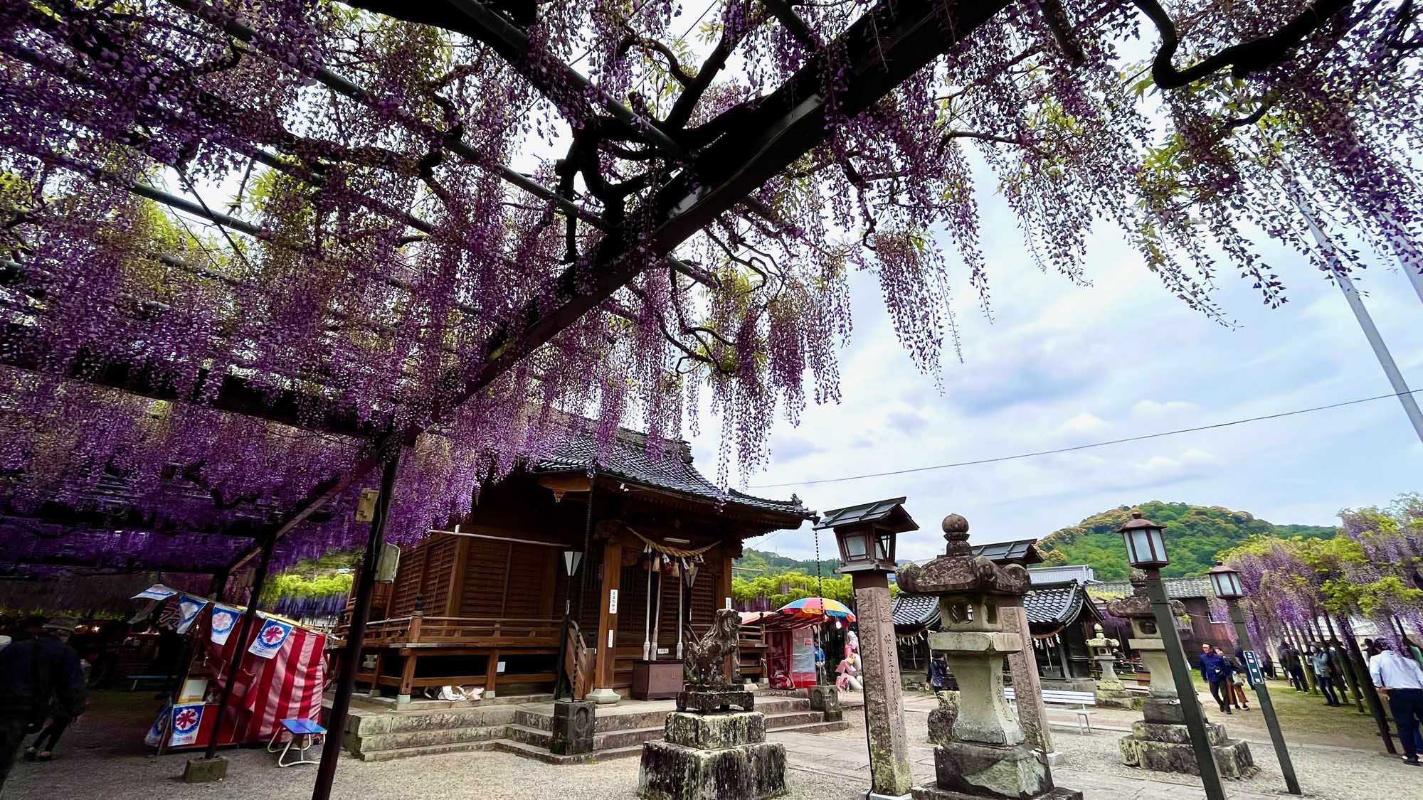 太田旅館