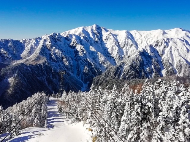 湯尼馬克斯小木屋