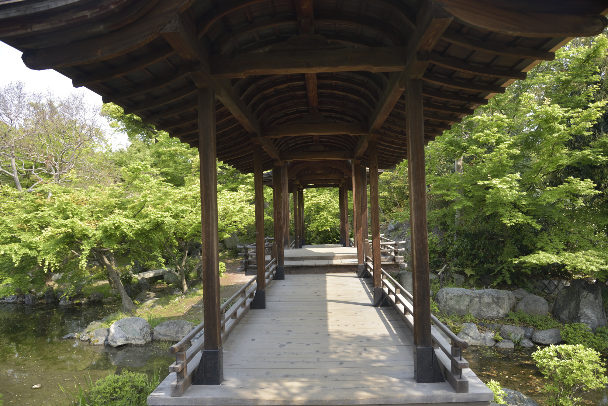 京都河原町 清荣酒店